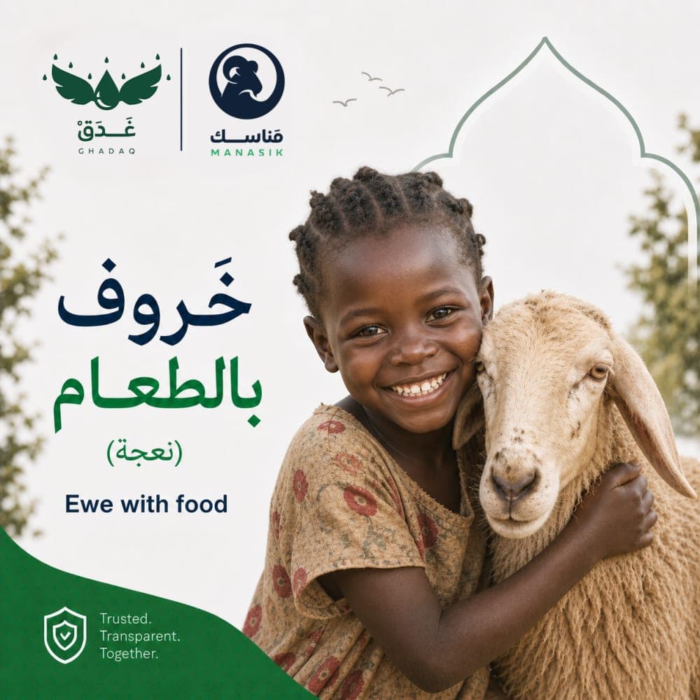 Ewe with food 1